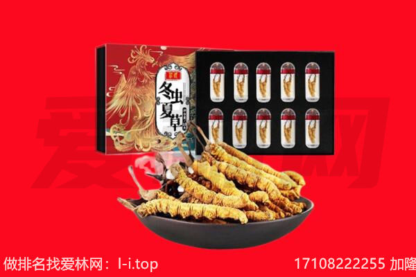 重庆市南川回收虫草.jpg
